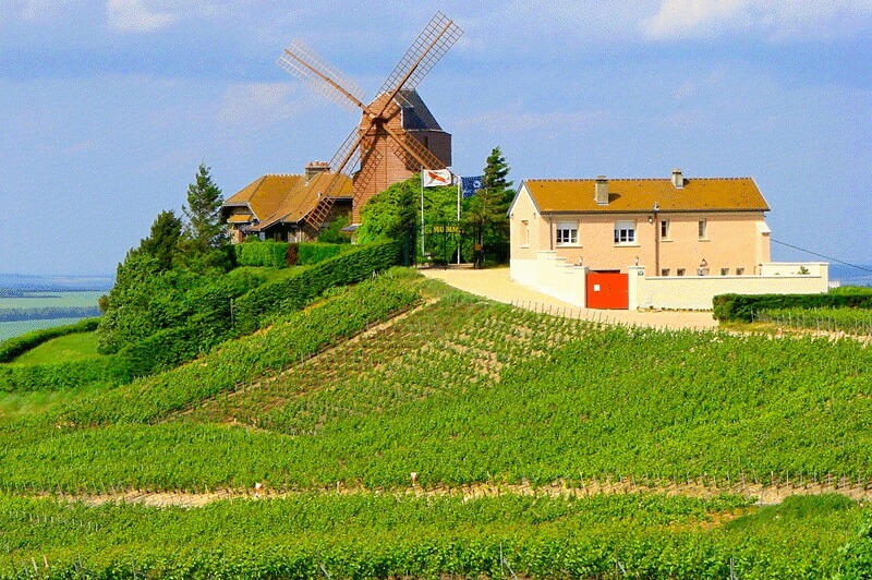 Монтань де Реймс Подрегион Montagne de Reims во Франции